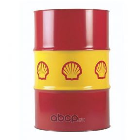 shell